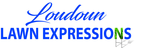 Loudoun Lawn Expressions will help you celebrate your special event or occasion! Proudly serving Loudoun County, Virginia. Choose Loudoun Lawn Expressions, the premier yard greeting card company in the LoCo area! 